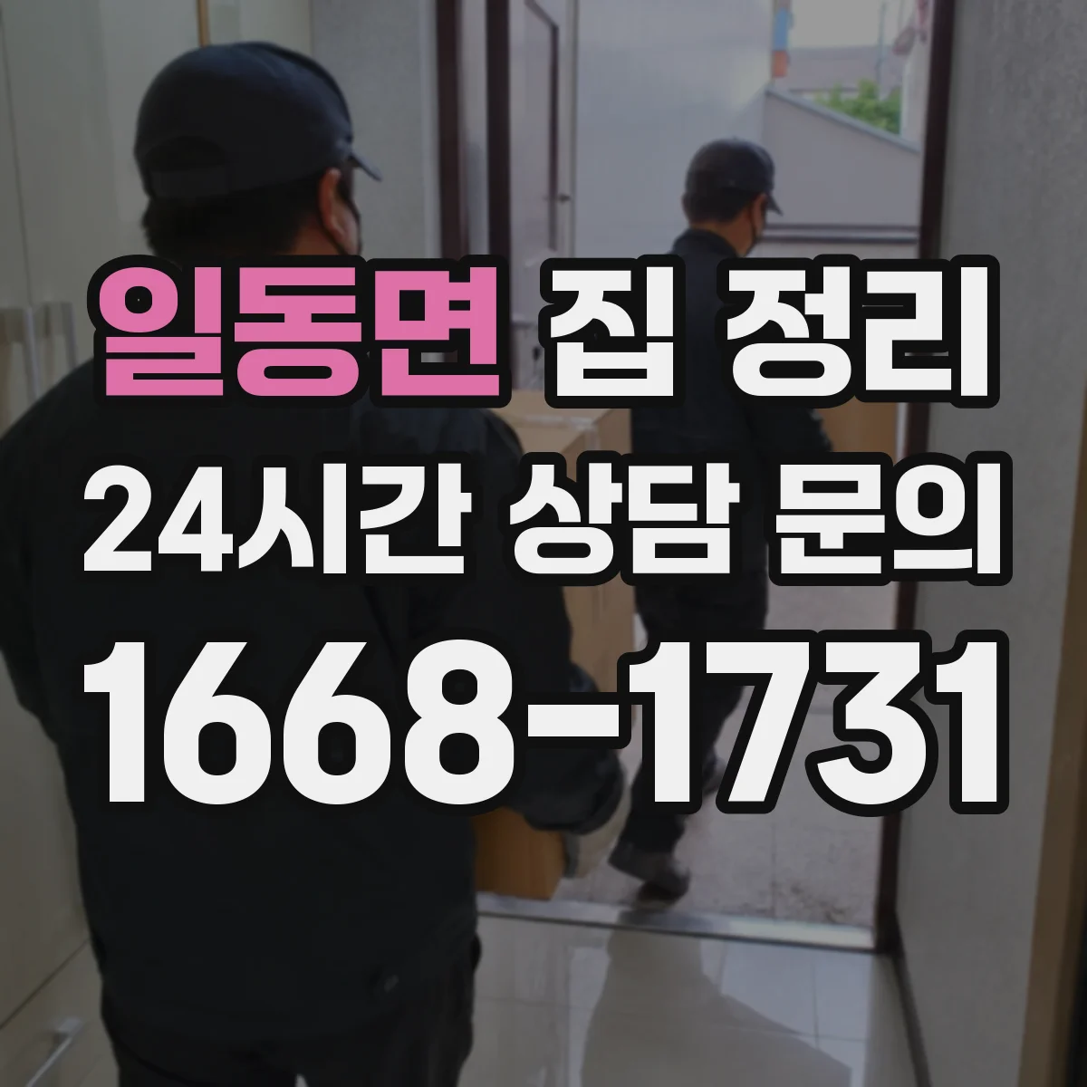 일동면 집 정리