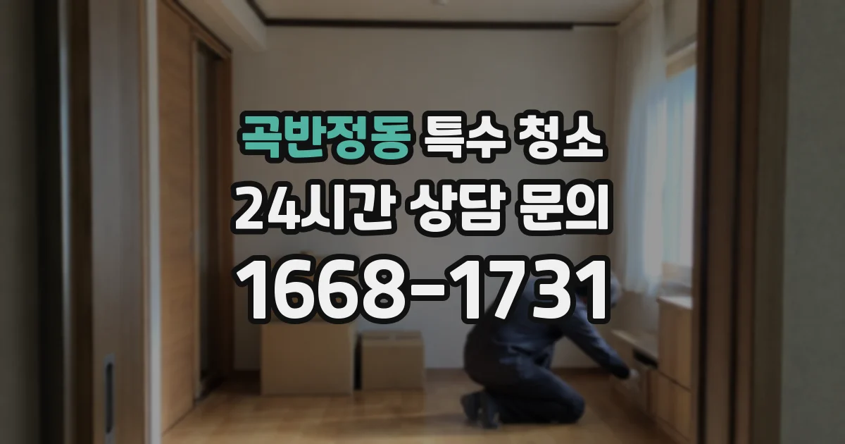 곡반정동 특수 청소