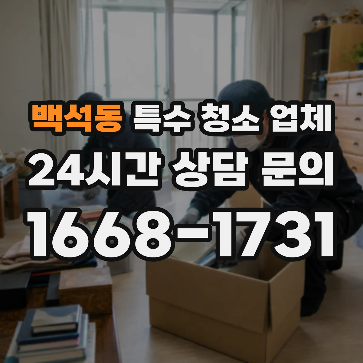 백석동 특수 청소 업체