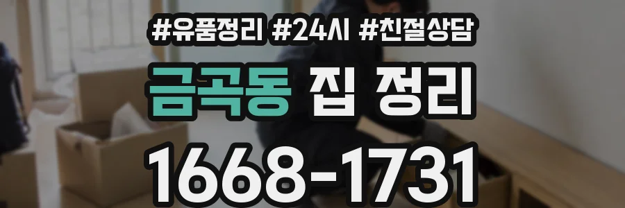 금곡동 집 정리