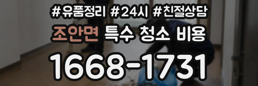 조안면 특수 청소 비용
