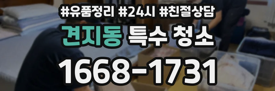 견지동 특수 청소