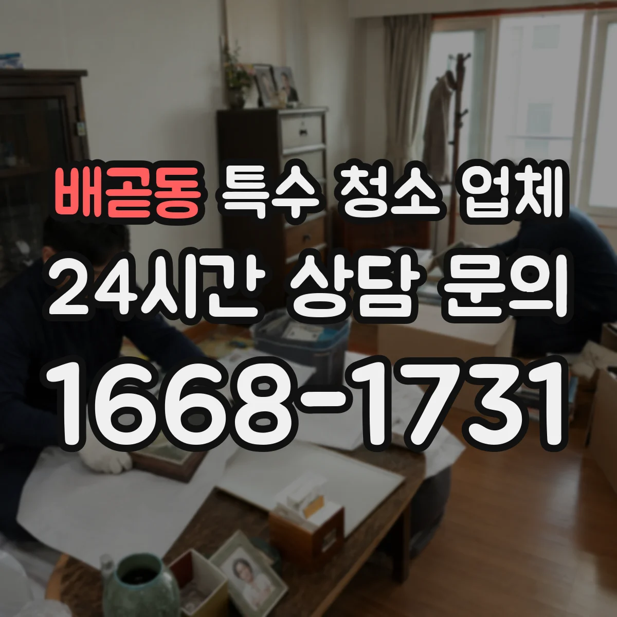 배곧동 특수 청소 업체