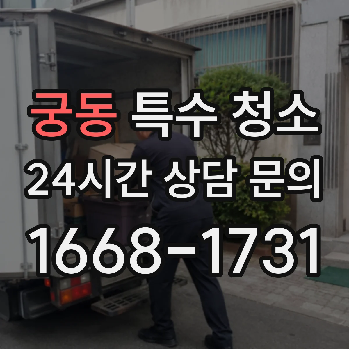 궁동 특수 청소