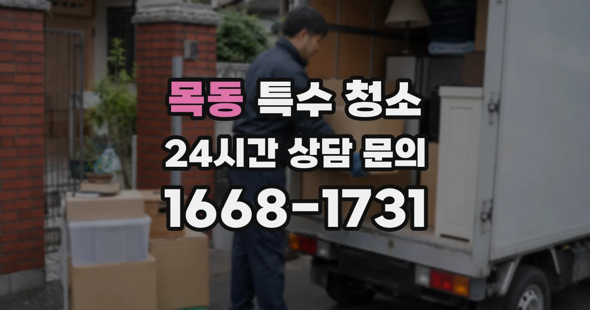 목동 특수 청소