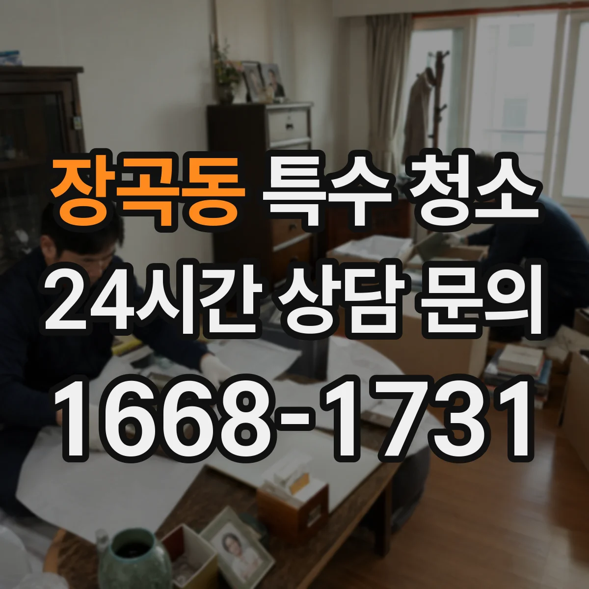 장곡동 특수 청소