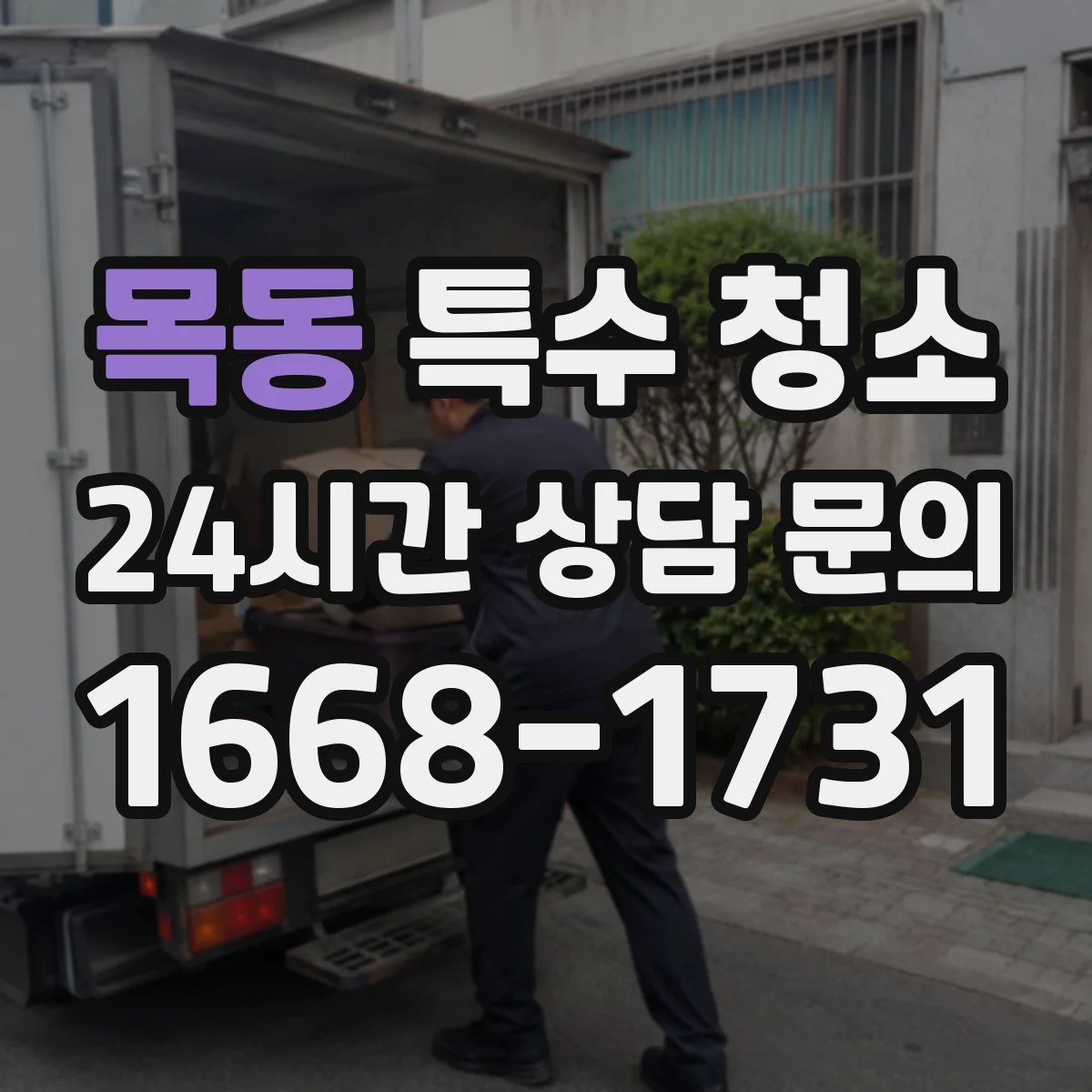 목동 특수 청소