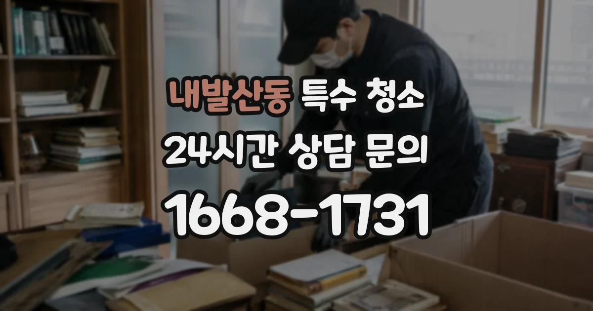 내발산동 특수 청소
