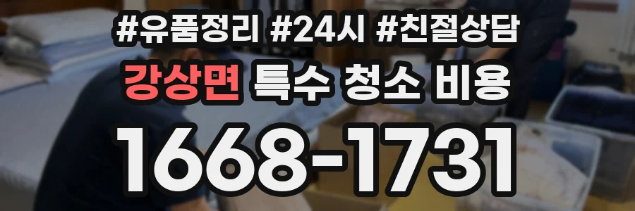 강상면 특수 청소 비용