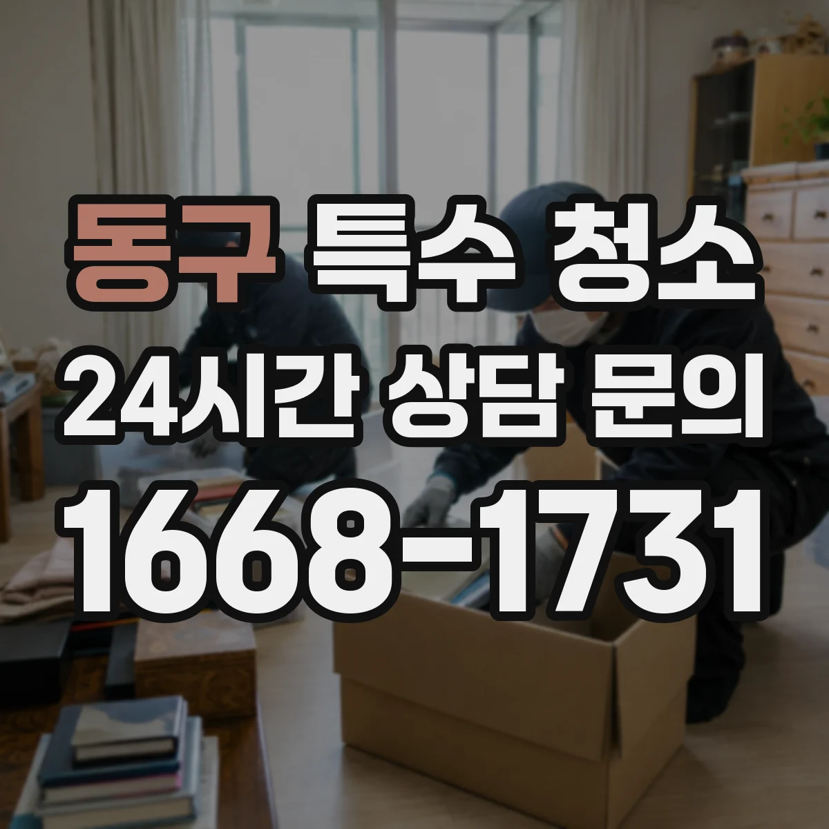 동구 특수 청소