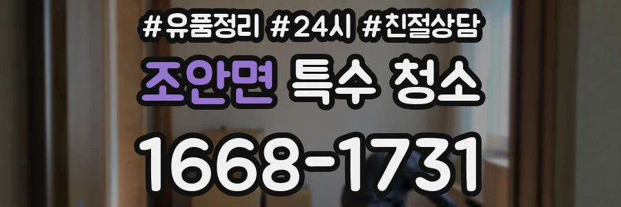 조안면 특수 청소