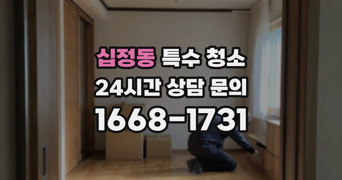 십정동 특수 청소