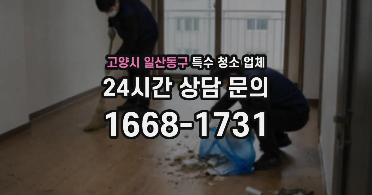 고양시 일산동구 특수 청소 업체