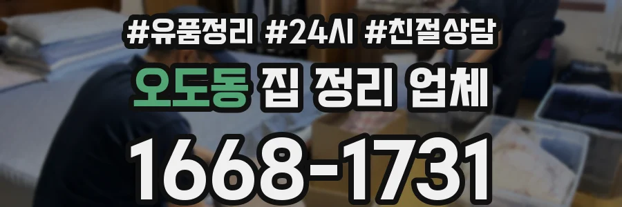 오도동 집 정리 업체