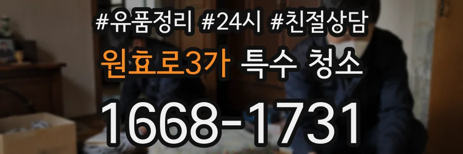 원효로3가 특수 청소
