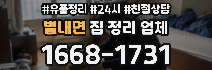별내면 집 정리 업체