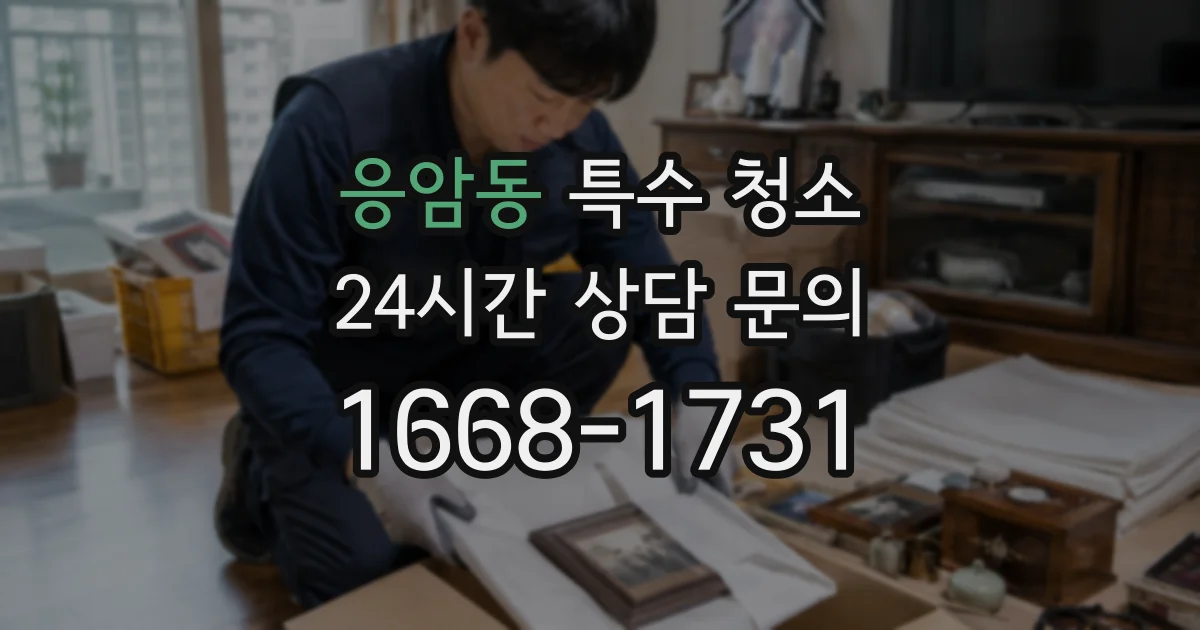 응암동 특수 청소