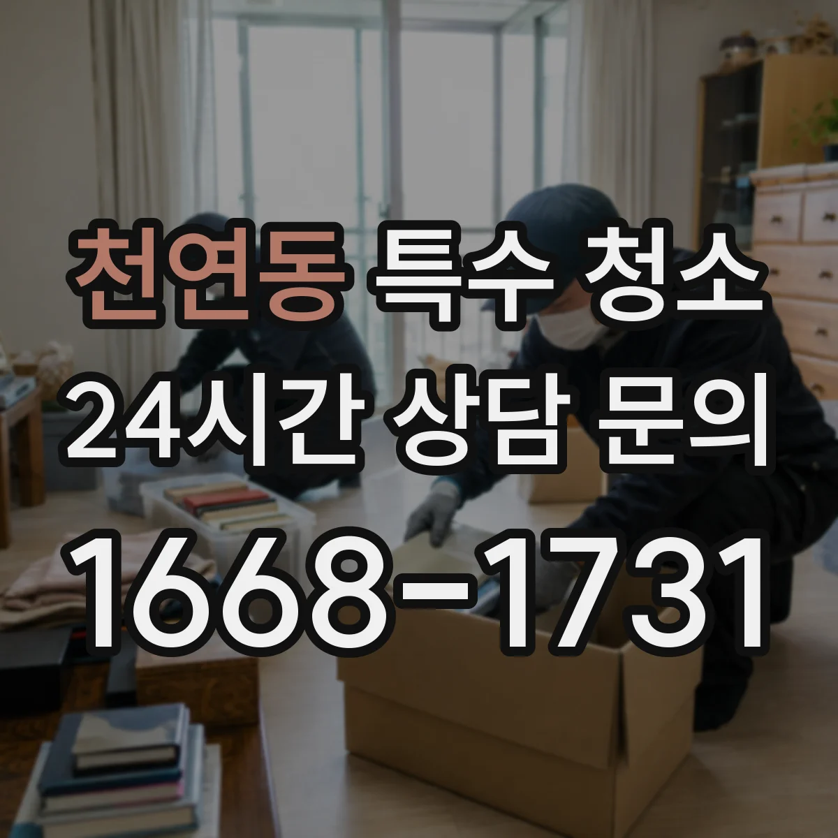 천연동 특수 청소
