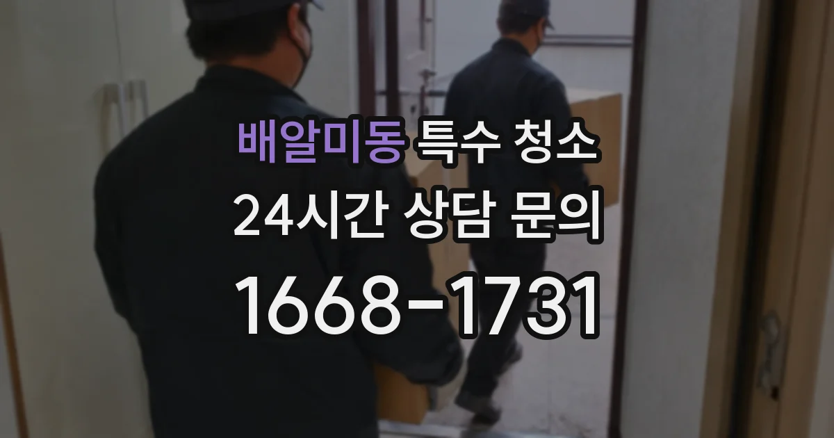 배알미동 특수 청소