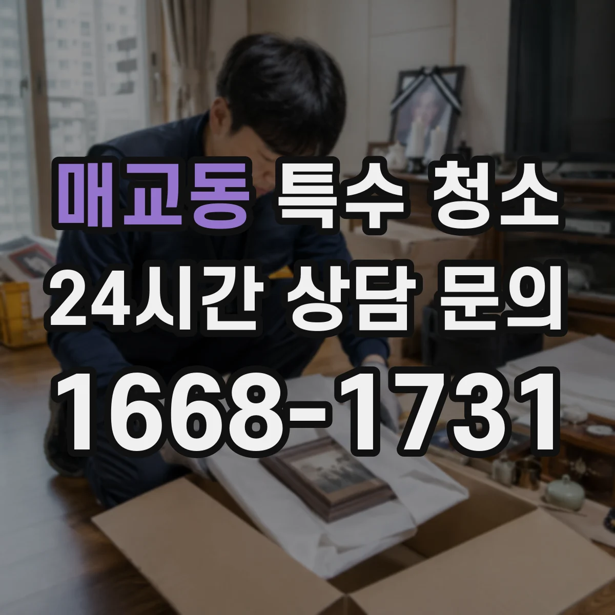 매교동 특수 청소