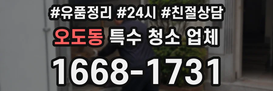 오도동 특수 청소 업체