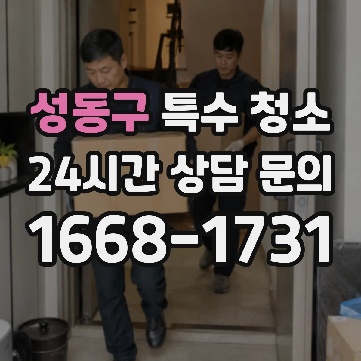 성동구 특수 청소