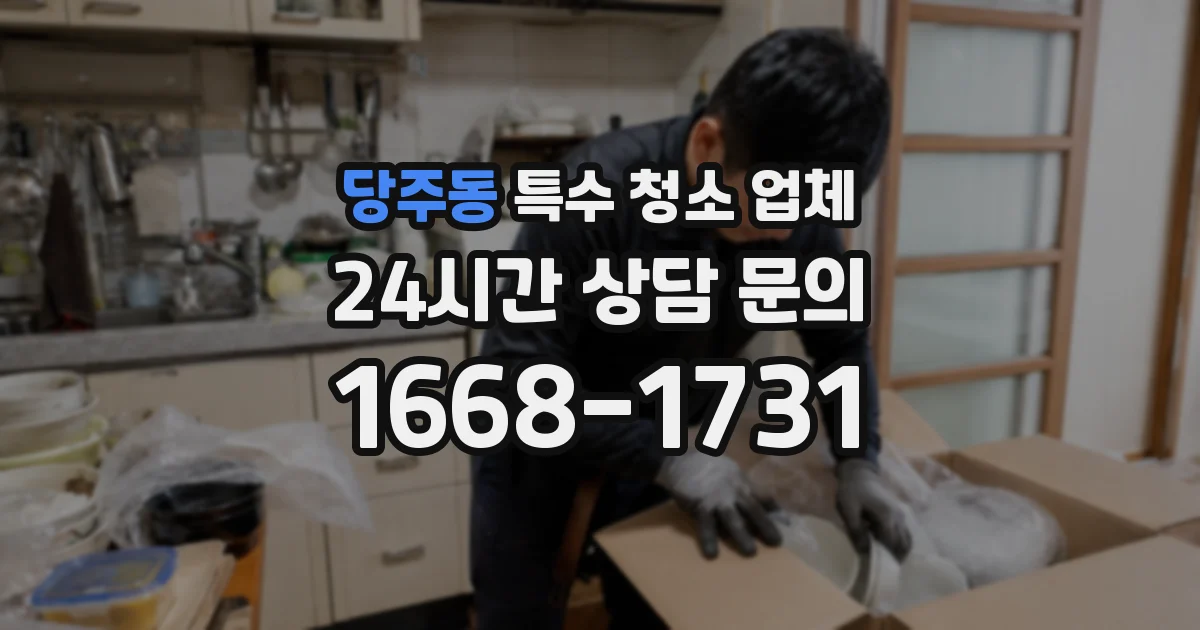 당주동 특수 청소 업체
