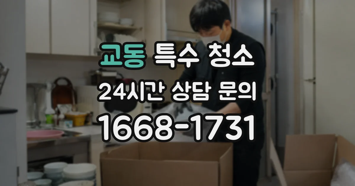 교동 특수 청소