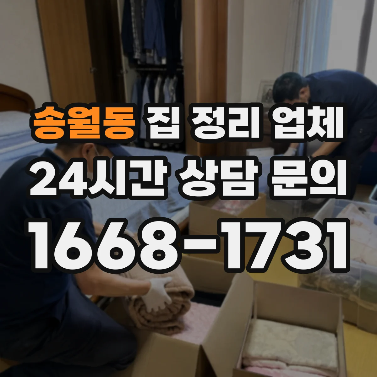 송월동 집 정리 업체