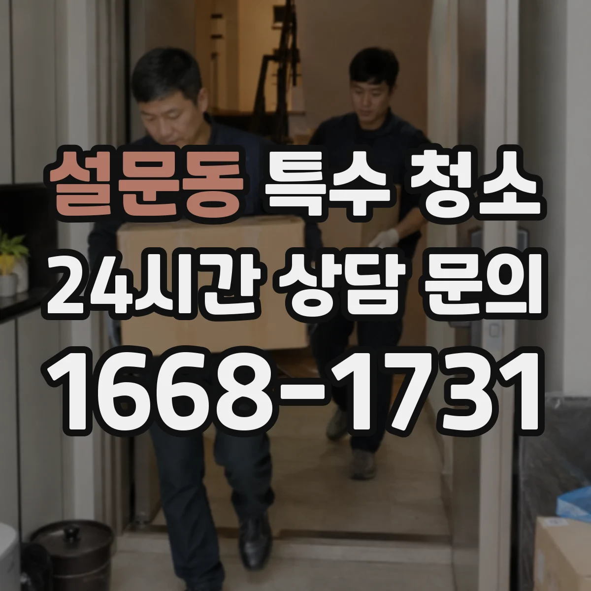 설문동 특수 청소