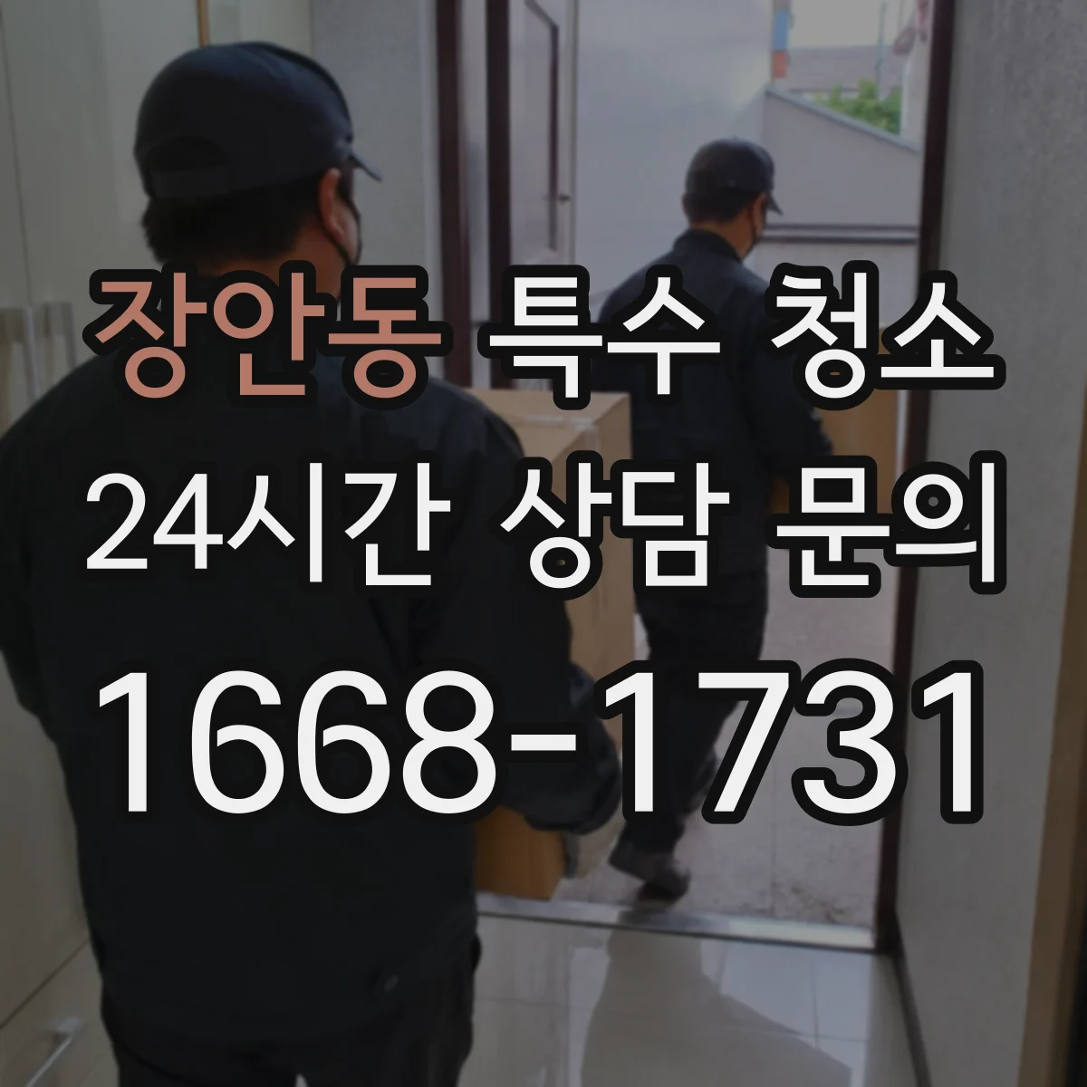 장안동 특수 청소