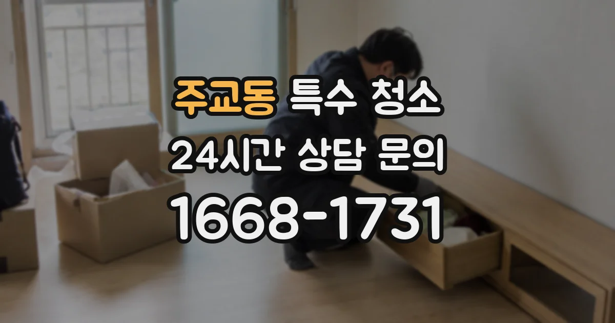 주교동 특수 청소