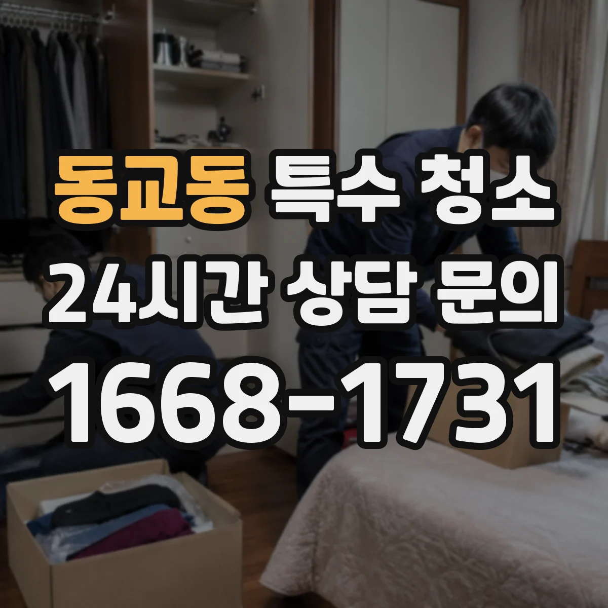 동교동 특수 청소