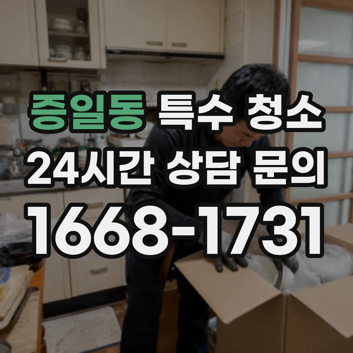 증일동 특수 청소