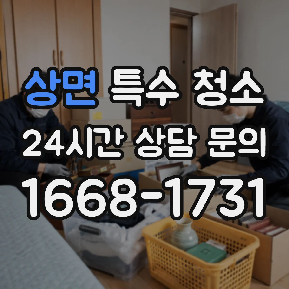 상면 특수 청소