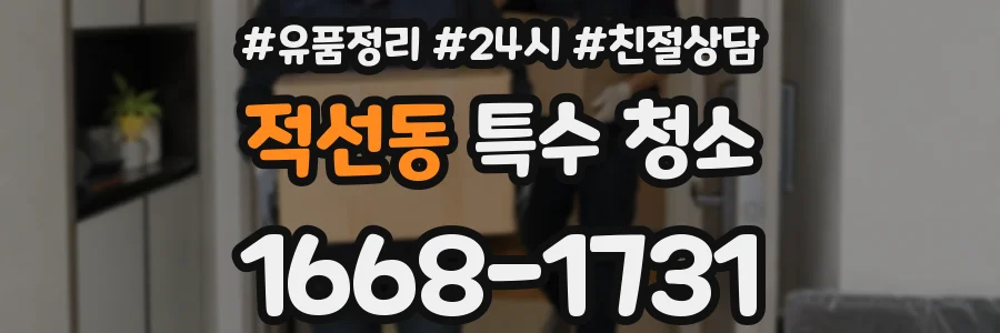 적선동 특수 청소