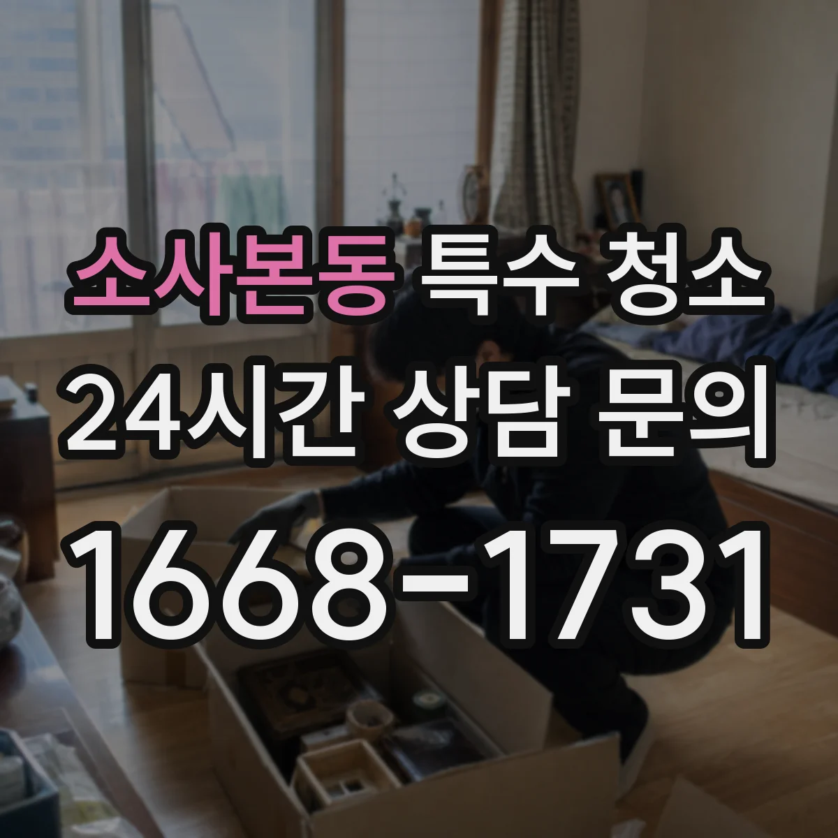 소사본동 특수 청소