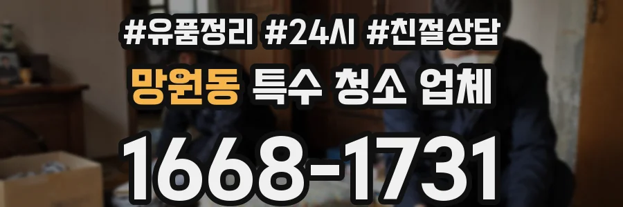 망원동 특수 청소 업체