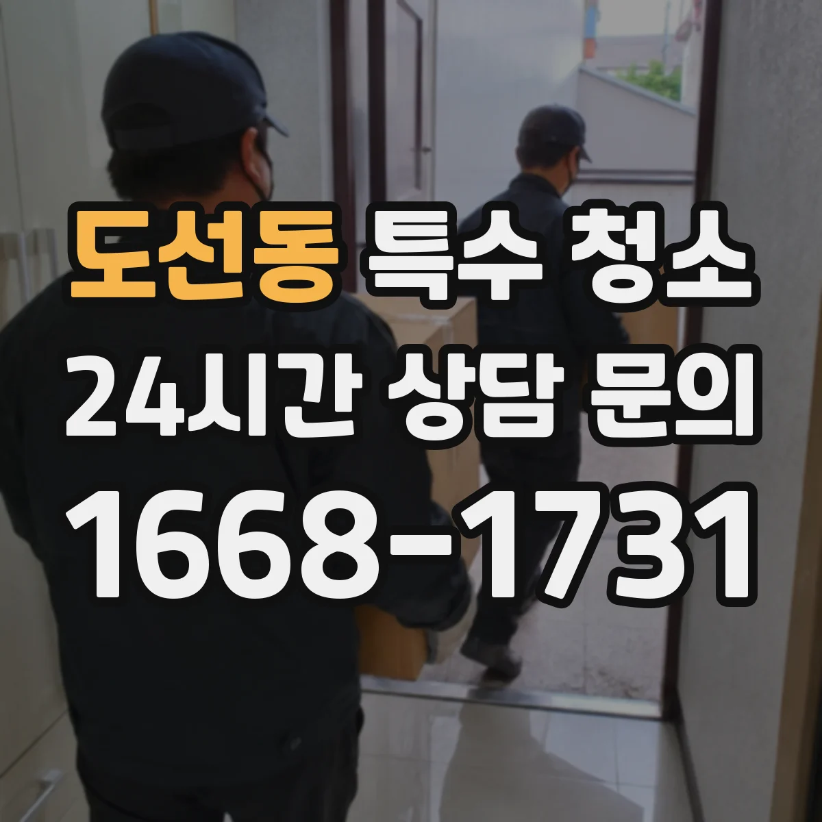 도선동 특수 청소