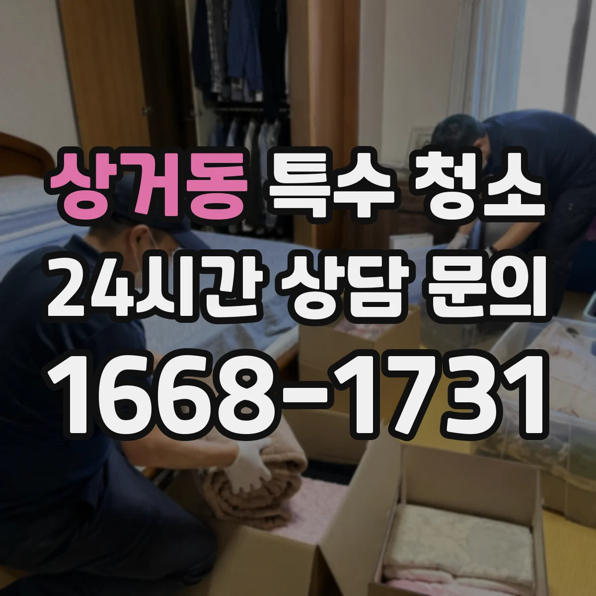 상거동 특수 청소
