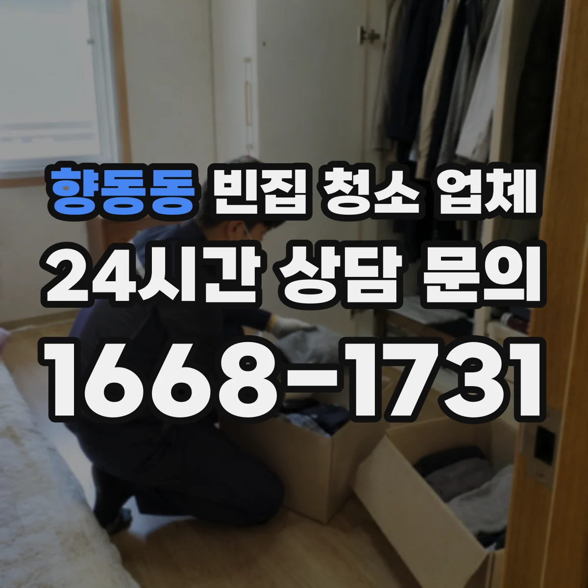 향동동 빈집 청소 업체
