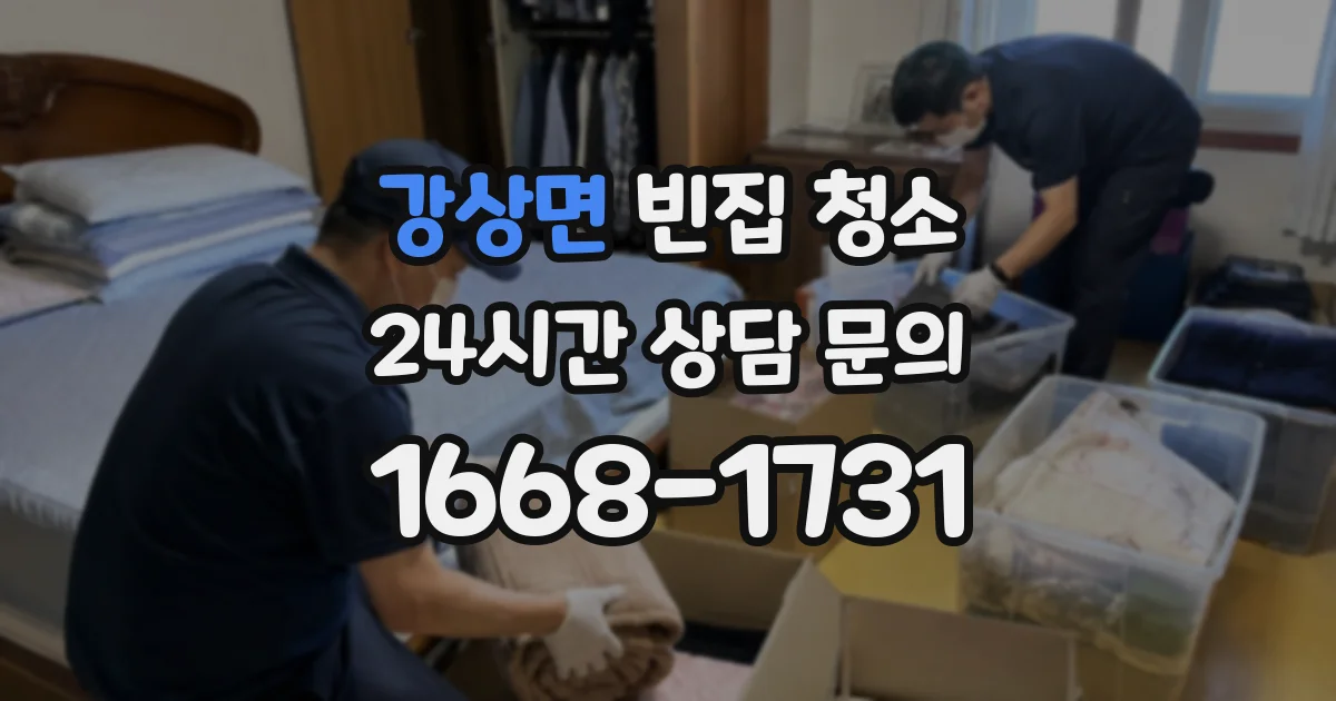 강상면 빈집 청소