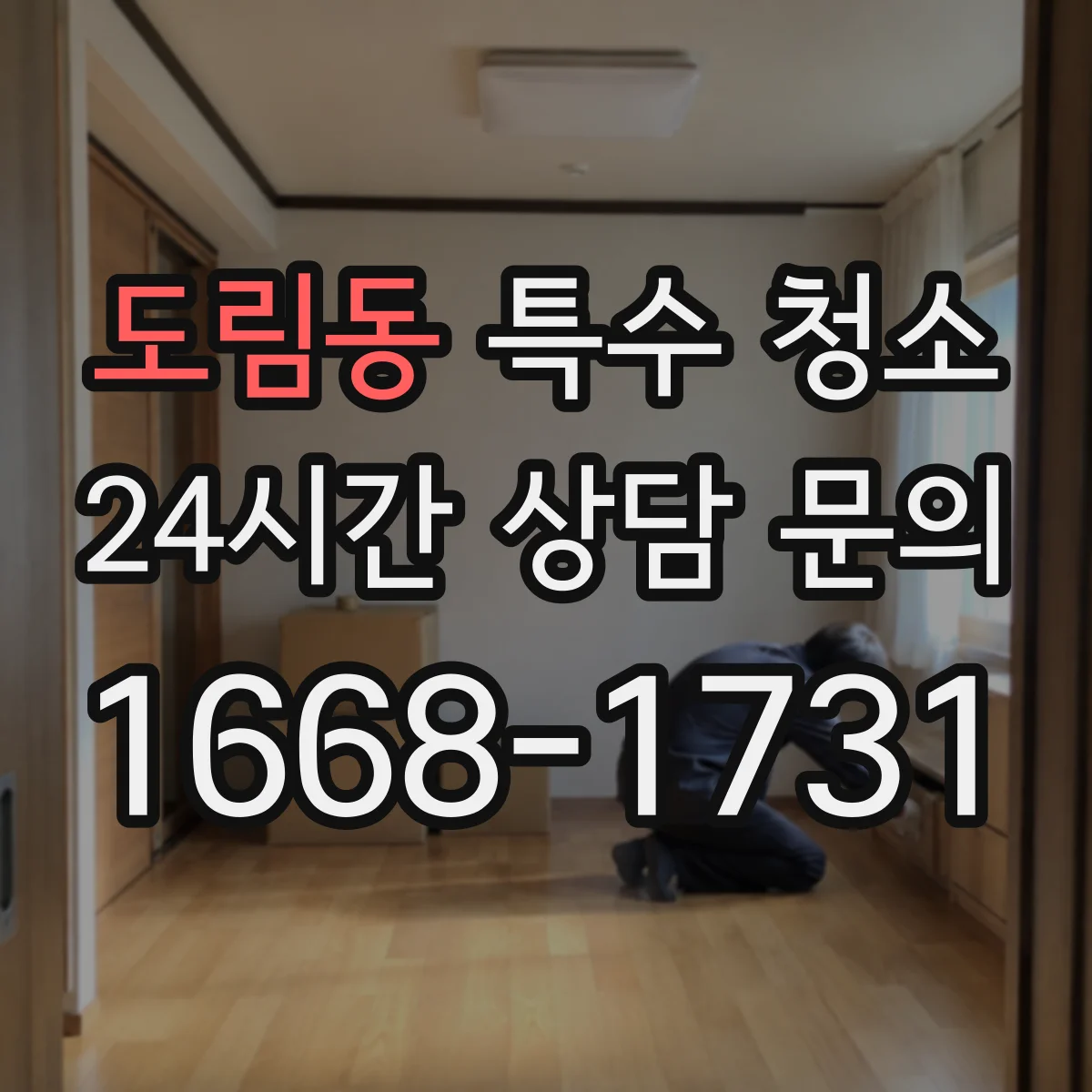 도림동 특수 청소