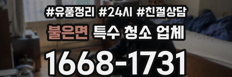 불은면 특수 청소 업체