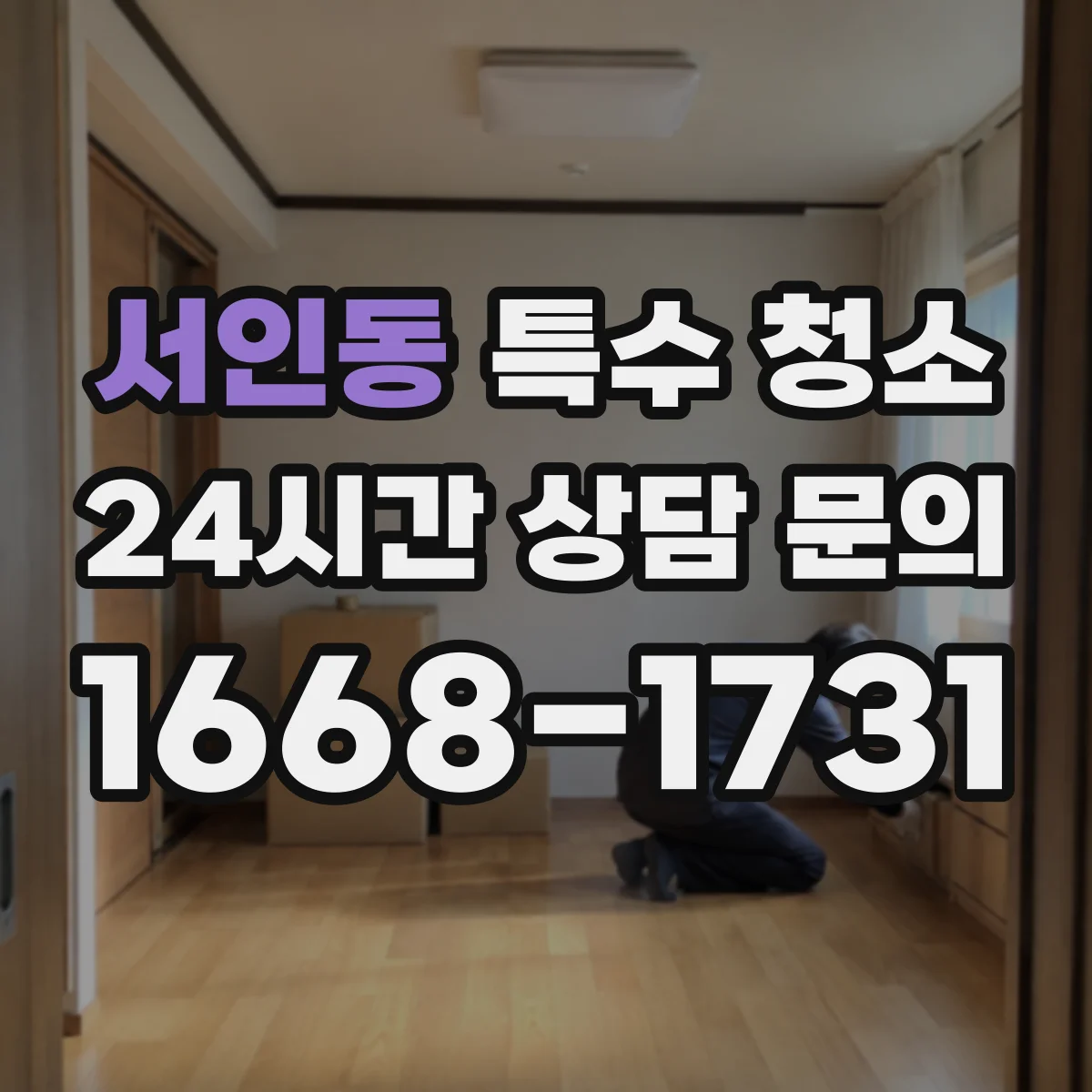 서인동 특수 청소