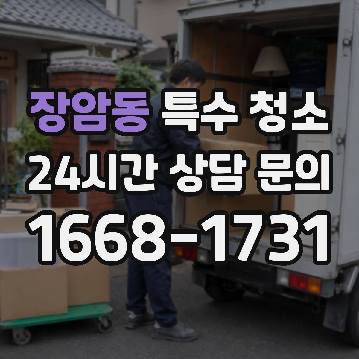 장암동 특수 청소