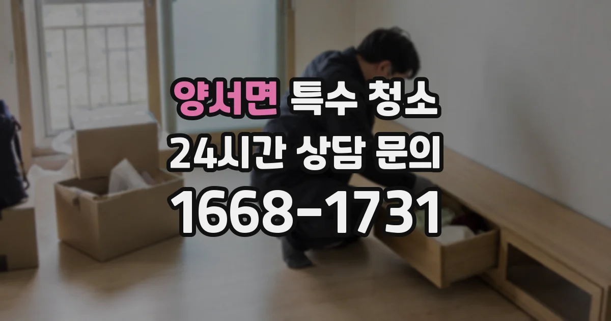 양서면 특수 청소