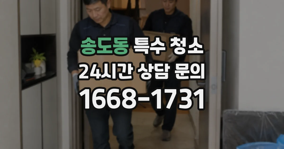송도동 특수 청소