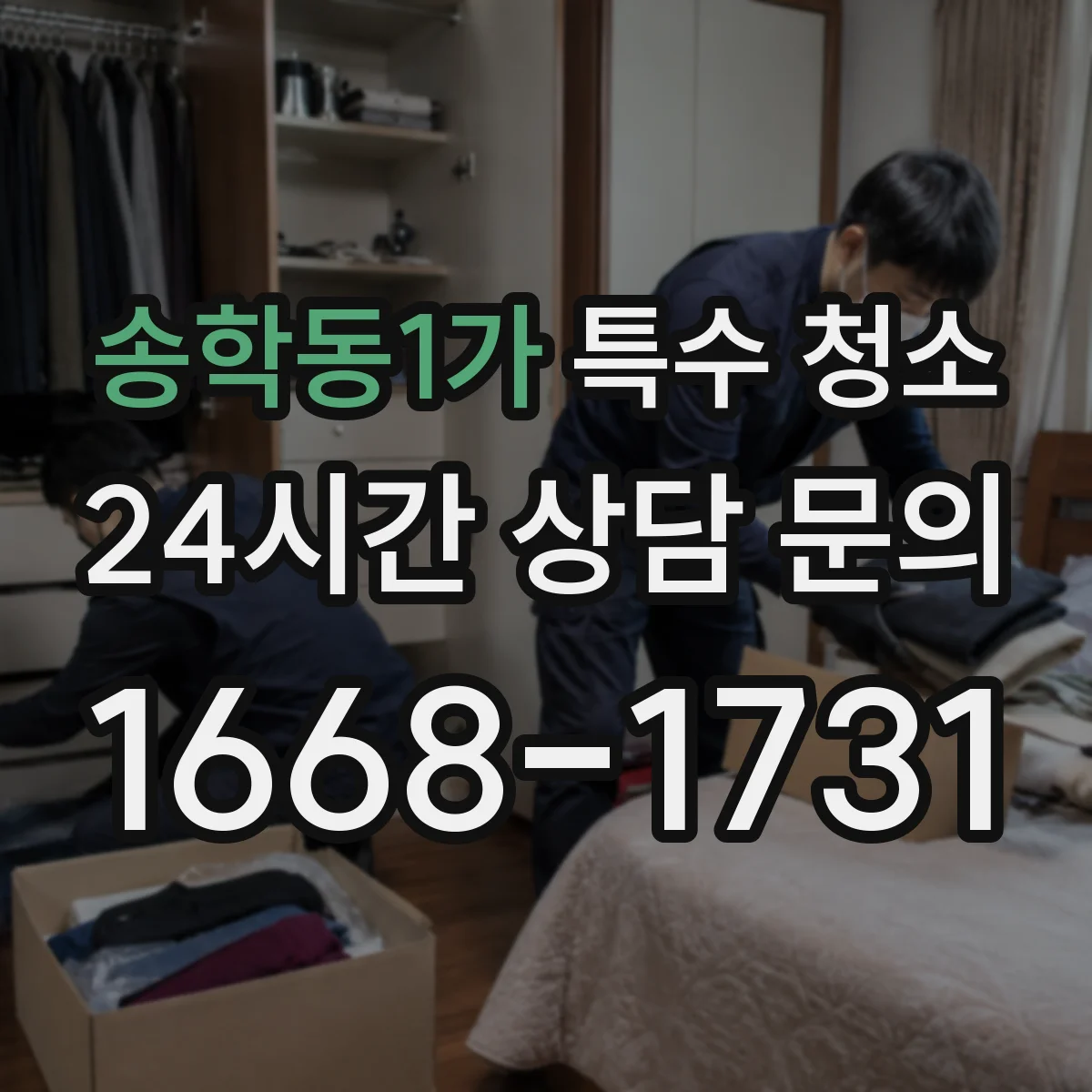송학동1가 특수 청소