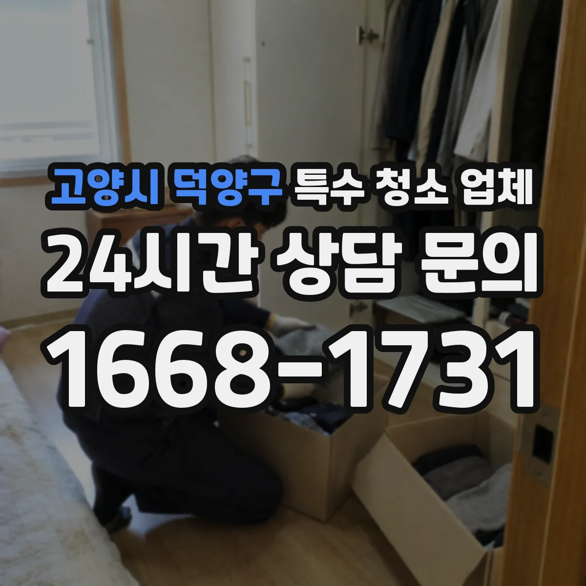 고양시 덕양구 특수 청소 업체 벽지 오염 범위 판단해 곰팡이 재발 차단